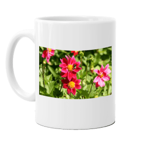 Displace images on products Displace images on products